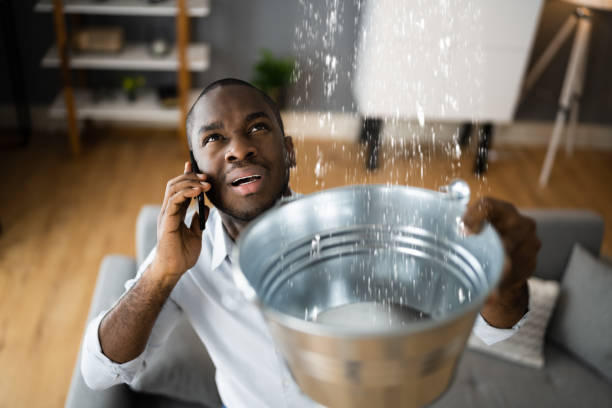 Best Basement water damage restoration  in Heath, TX