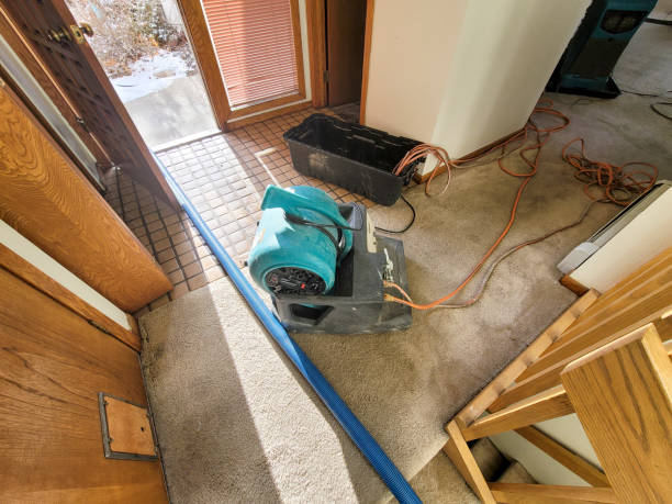 Best 24/7 water damage repair  in Heath, TX