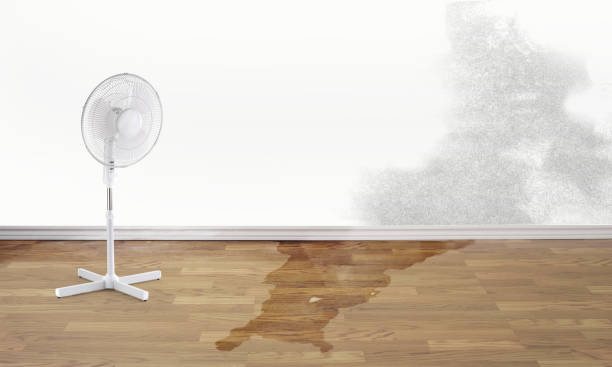 Best Local water damage restoration  in Heath, TX