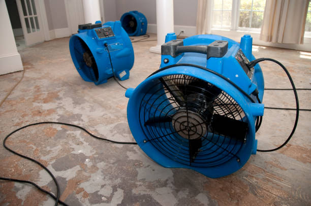 Best Ceiling water damage repair  in Heath, TX