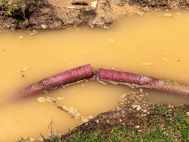 Best Emergency water extraction  in Heath, TX