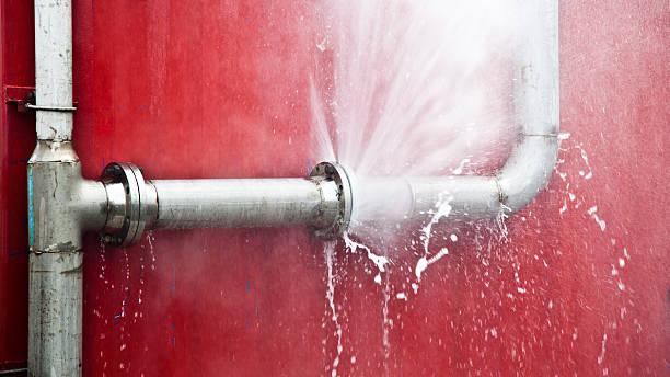 Best Mold removal after water damage  in Heath, TX